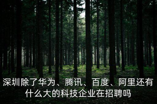 深圳除了華為、騰訊、百度、阿里還有什么大的科技企業(yè)在招聘嗎