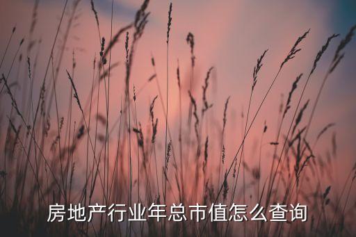 房地產(chǎn)行業(yè)年總市值怎么查詢