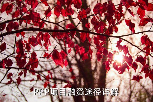 PPP項(xiàng)目融資途徑詳解