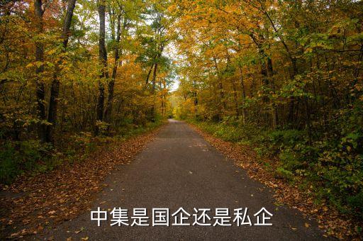 中集集團跨國經營環(huán)境,企業(yè)跨國經營的環(huán)境