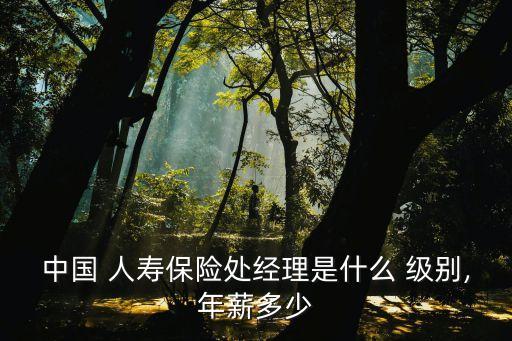 中國人壽什么級別