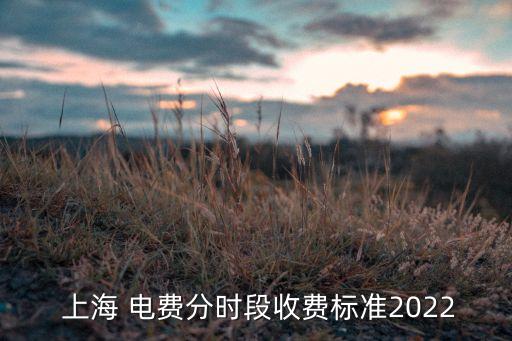  上海 電費分時段收費標(biāo)準(zhǔn)2022