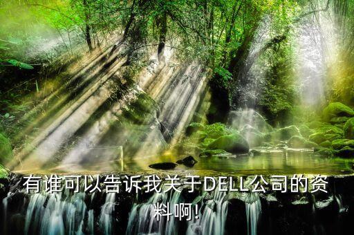 有誰(shuí)可以告訴我關(guān)于DELL公司的資料啊!