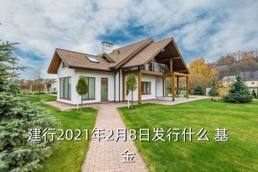 建行2021年2月8日發(fā)行什么 基金