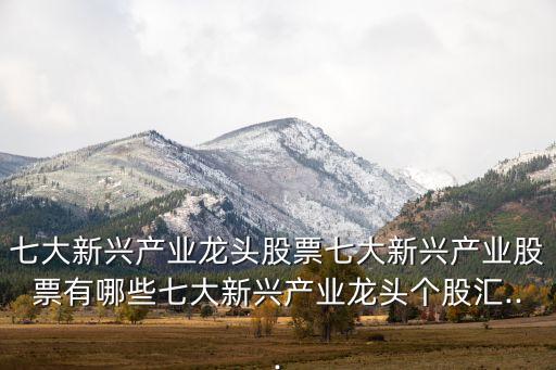 七大新興產(chǎn)業(yè)龍頭股票七大新興產(chǎn)業(yè)股票有哪些七大新興產(chǎn)業(yè)龍頭個股匯...