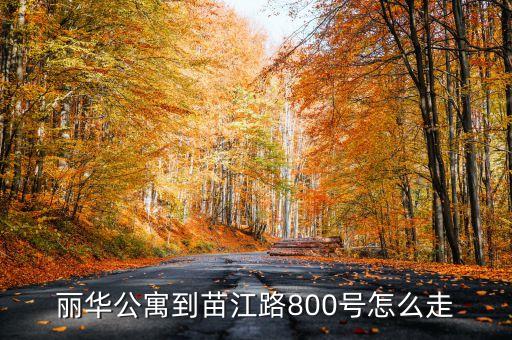 麗華公寓到苗江路800號(hào)怎么走