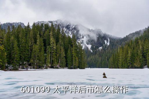 太平洋是什么樣的股票,601099太平洋是什么股票