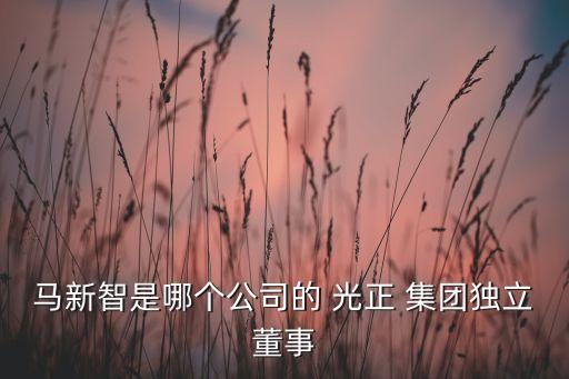 馬新智是哪個公司的 光正 集團(tuán)獨立董事