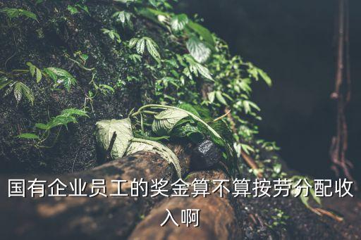 國有企業(yè)員工的獎金算不算按勞分配收入啊