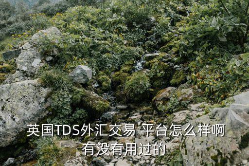  英國TDS外匯交易 平臺怎么樣啊有沒有用過的