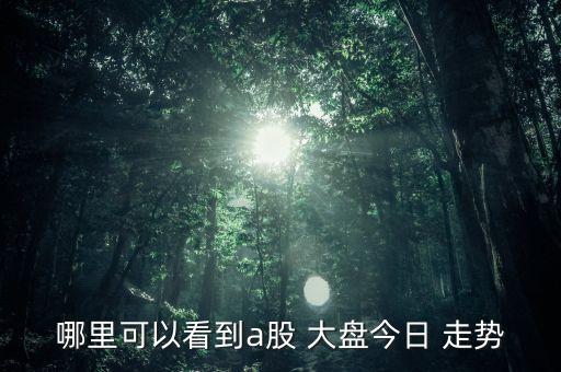 哪里可以看到a股 大盤(pán)今日 走勢(shì)