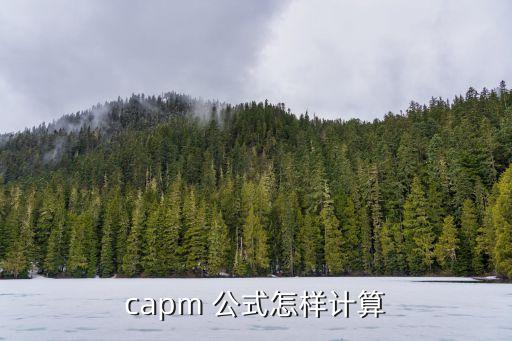 capm 公式怎樣計(jì)算