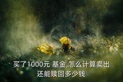 買(mǎi)了1000元 基金,怎么計(jì)算賣(mài)出還能贖回多少錢(qián)