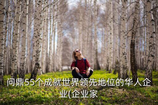 問(wèn)鼎55個(gè)成就世界領(lǐng)先地位的華人企業(yè)(企業(yè)家