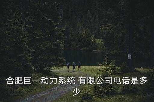 合肥巨一動力系統(tǒng) 有限公司電話是多少