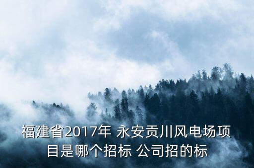 福建省2017年 永安貢川風(fēng)電場項(xiàng)目是哪個招標(biāo) 公司招的標(biāo)