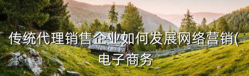 傳統(tǒng)代理銷(xiāo)售企業(yè)如何發(fā)展網(wǎng)絡(luò)營(yíng)銷(xiāo)( 電子商務(wù)