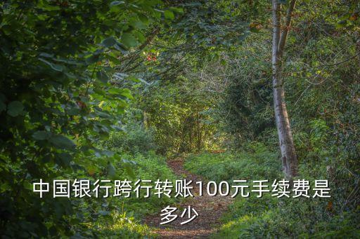  中國銀行跨行轉(zhuǎn)賬100元手續(xù)費(fèi)是多少