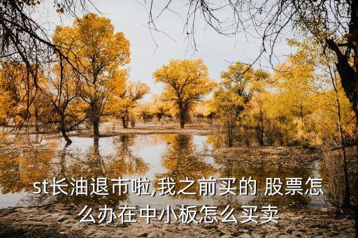 st長(zhǎng)油退市啦,我之前買(mǎi)的 股票怎么辦在中小板怎么買(mǎi)賣(mài)