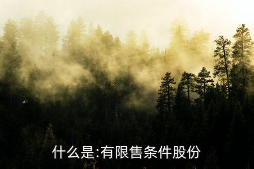 什么是:有限售條件股份