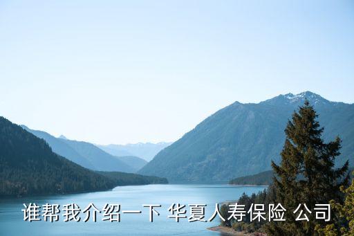 誰幫我介紹一下 華夏人壽保險(xiǎn) 公司