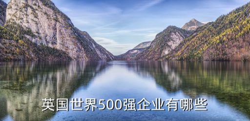 英國世界500強(qiáng)企業(yè)有哪些