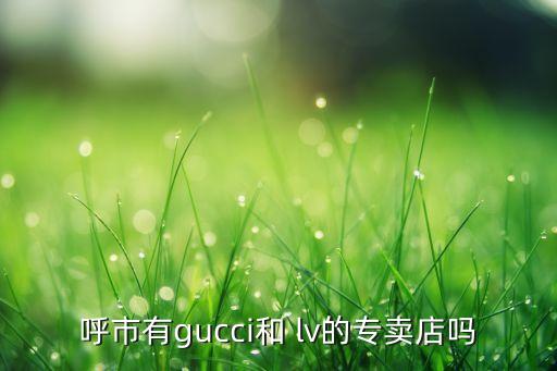 呼市有gucci和 lv的專賣店嗎