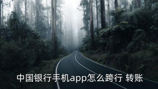  中國銀行手機(jī)app怎么跨行 轉(zhuǎn)賬