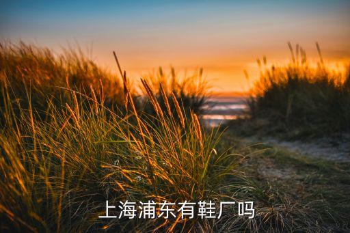  上海浦東有鞋廠(chǎng)嗎