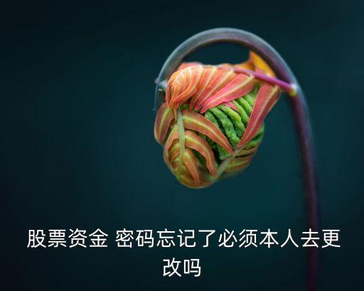 股票賬戶登錄密碼忘了,同花順股票賬戶密碼忘了怎么辦