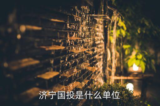 濟(jì)寧國投是什么單位