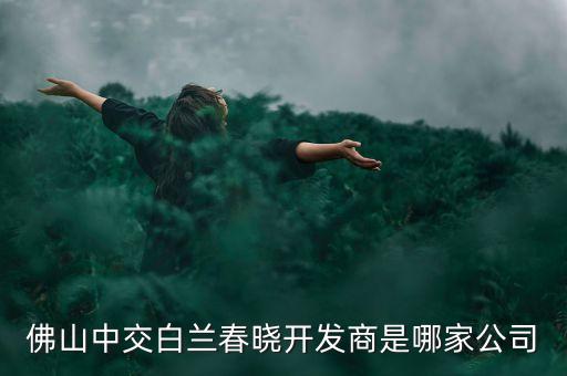 佛山中交白蘭春曉開發(fā)商是哪家公司