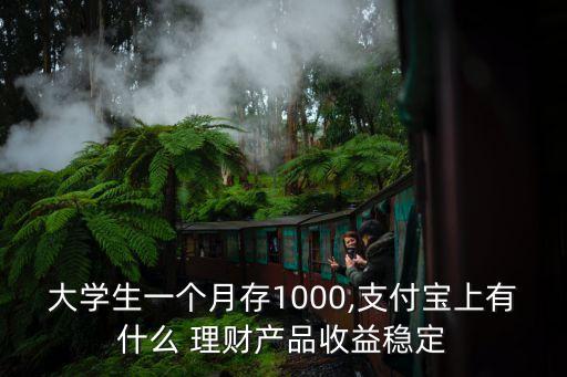 大學生一個月存1000,支付寶上有什么 理財產(chǎn)品收益穩(wěn)定