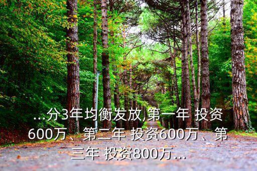 ...分3年均衡發(fā)放,第一年 投資600萬、第二年 投資600萬、第三年 投資800萬...