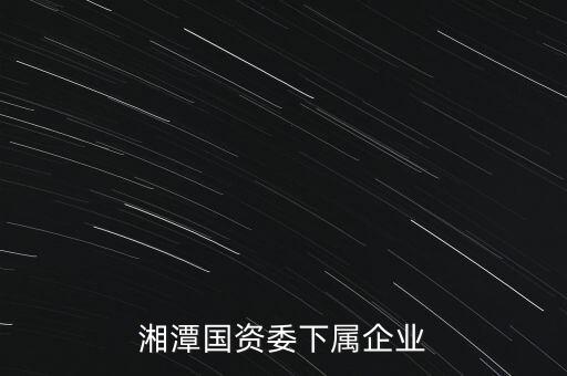 湘潭國資委下屬企業(yè)