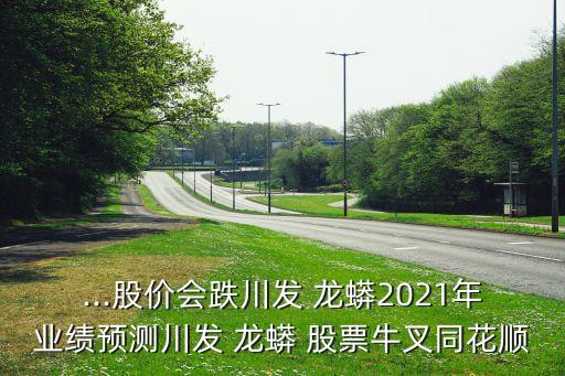 ...股價(jià)會(huì)跌川發(fā) 龍蟒2021年業(yè)績(jī)預(yù)測(cè)川發(fā) 龍蟒 股票牛叉同花順