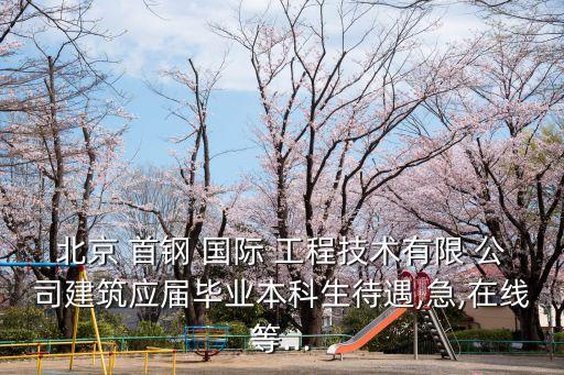 首鋼國(guó)際工程公司分公司,首鋼礦山建設(shè)工程公司