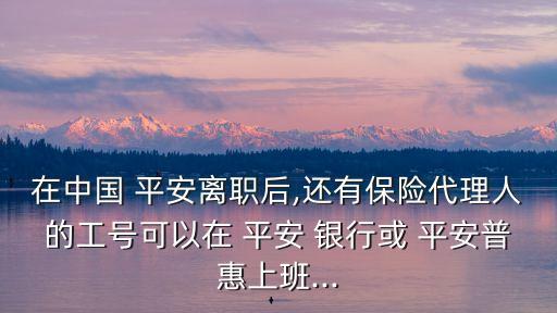 在中國 平安離職后,還有保險代理人的工號可以在 平安 銀行或 平安普惠上班...