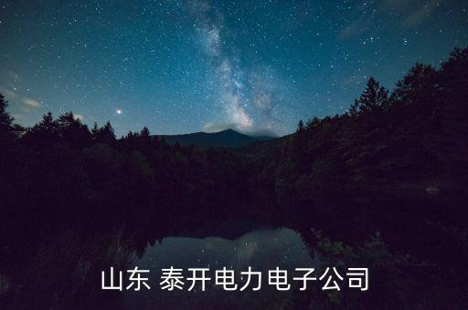 泰開集團大股東