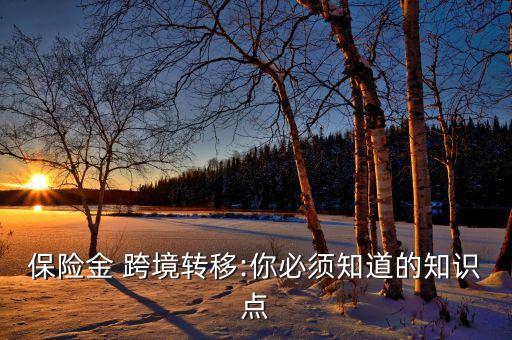 保險金 跨境轉(zhuǎn)移:你必須知道的知識點(diǎn)