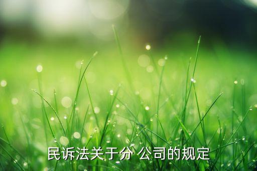 民訴法關于分 公司的規(guī)定