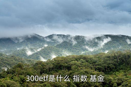 300etf是什么 指數(shù) 基金