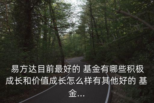  易方達(dá)目前最好的 基金有哪些積極成長和價值成長怎么樣有其他好的 基金...