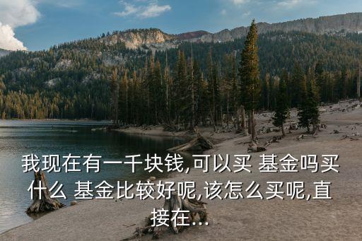 我現(xiàn)在有一千塊錢,可以買 基金嗎買什么 基金比較好呢,該怎么買呢,直接在...