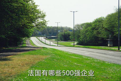  法國有哪些500強(qiáng)企業(yè)