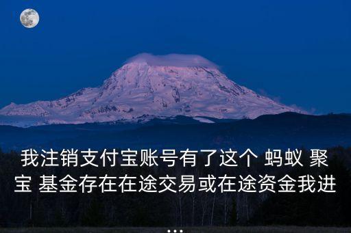 我注銷支付寶賬號(hào)有了這個(gè) 螞蟻 聚寶 基金存在在途交易或在途資金我進(jìn)...