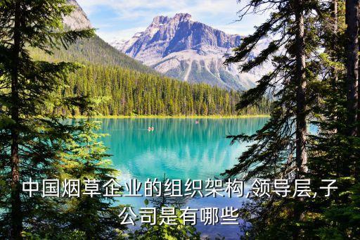 中國煙草企業(yè)的組織架構(gòu),領(lǐng)導(dǎo)層,子公司是有哪些