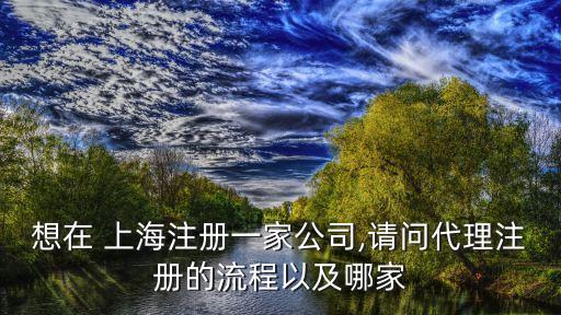 想在 上海注冊(cè)一家公司,請(qǐng)問代理注冊(cè)的流程以及哪家