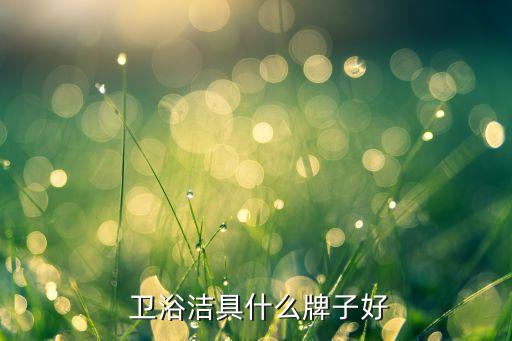  衛(wèi)浴潔具什么牌子好