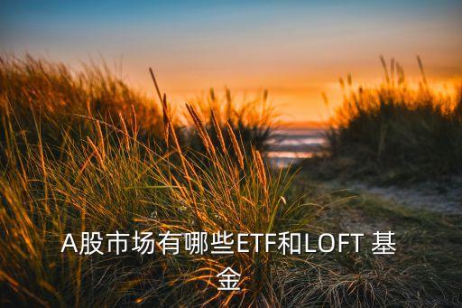 A股市場有哪些ETF和LOFT 基金